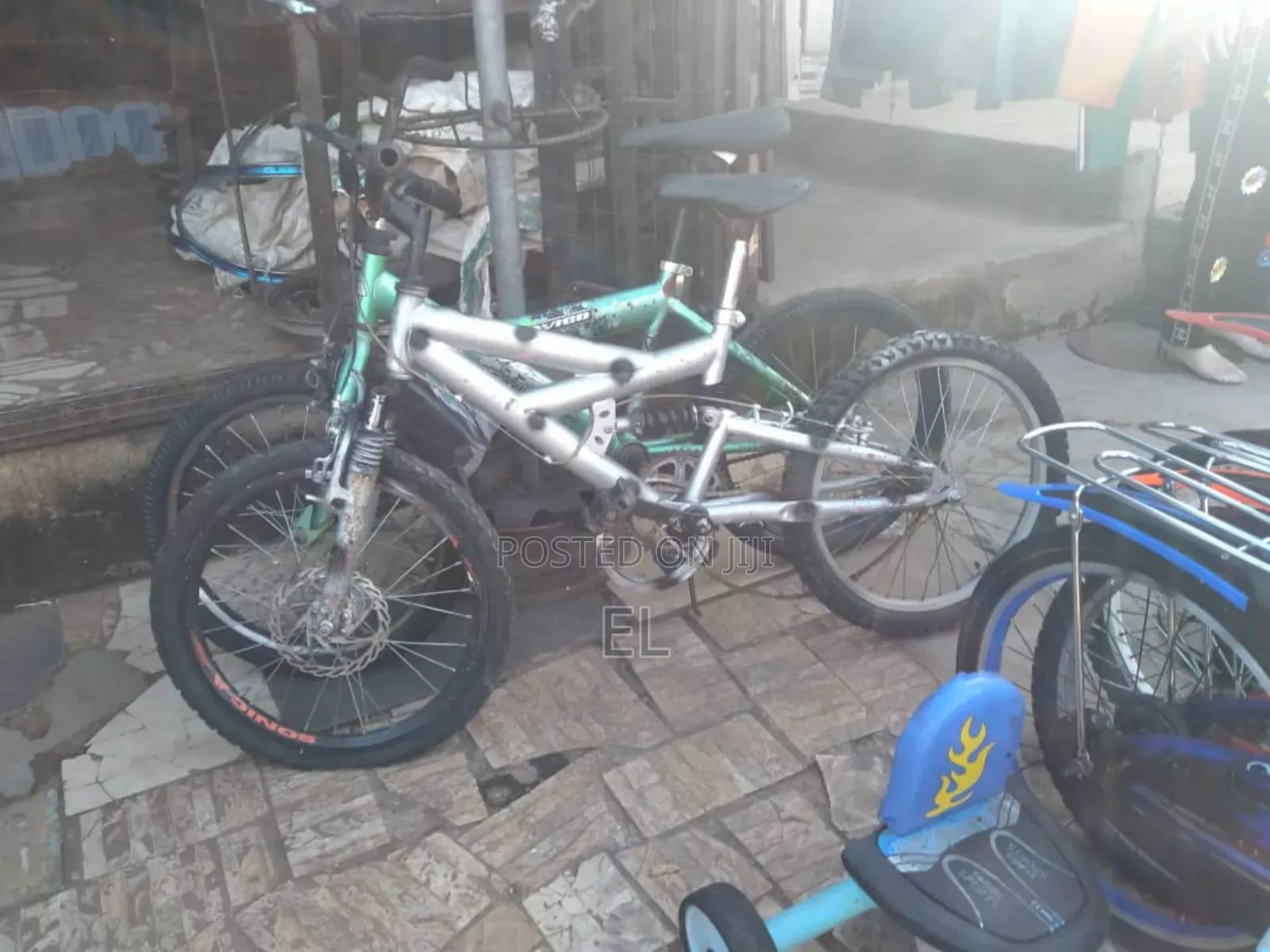Professional Bicycle Mechanic