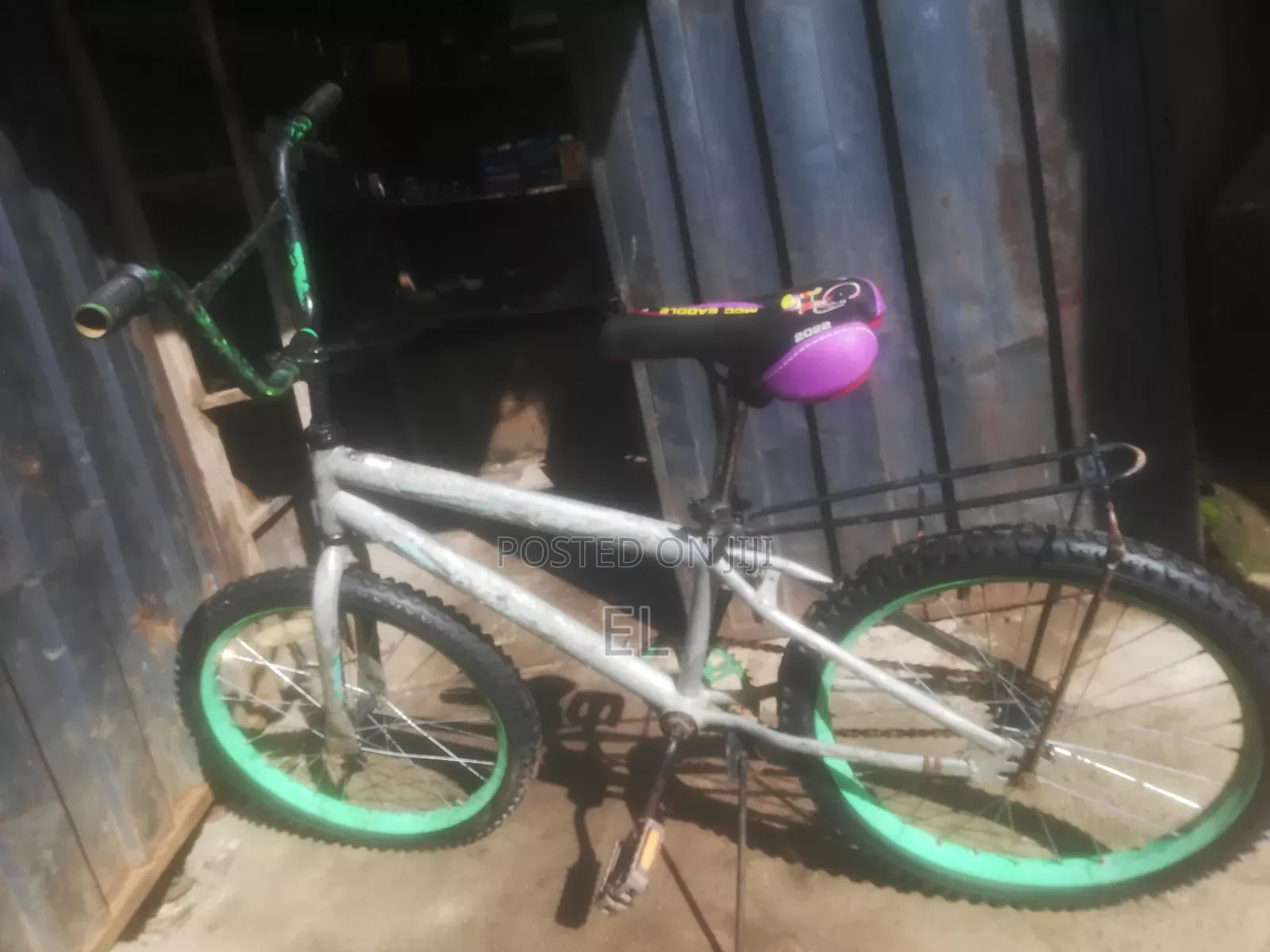 Professional Bicycle Mechanic