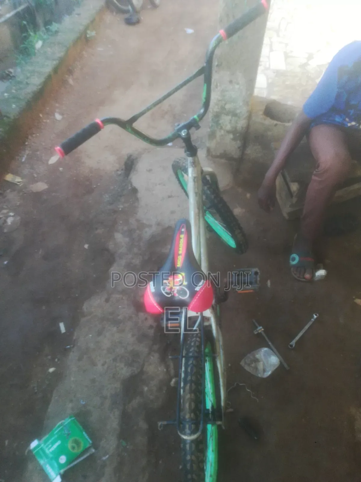 Professional Bicycle Mechanic