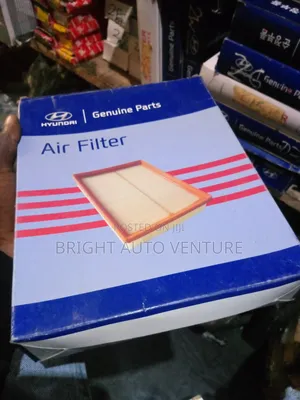 Air Cleaner for Kia Optima 2012 Model
