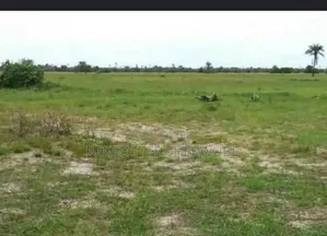 For Sale: Land for Sale