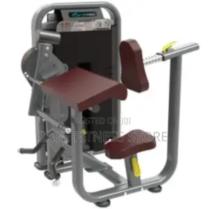 Biceps Triceps -Dft1690