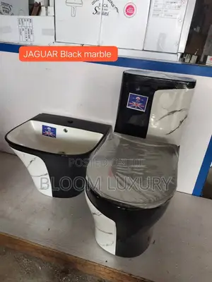 White/Black Design Water Closet