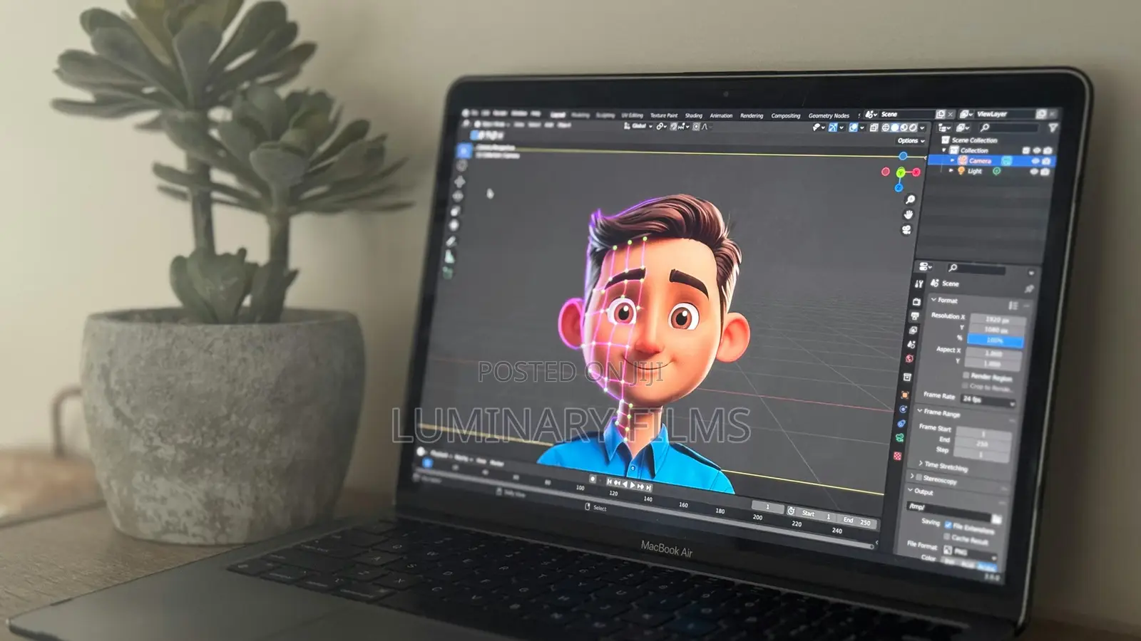 Video Editing and Animation Training