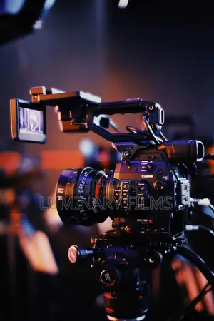 Video Editing and Animation Training