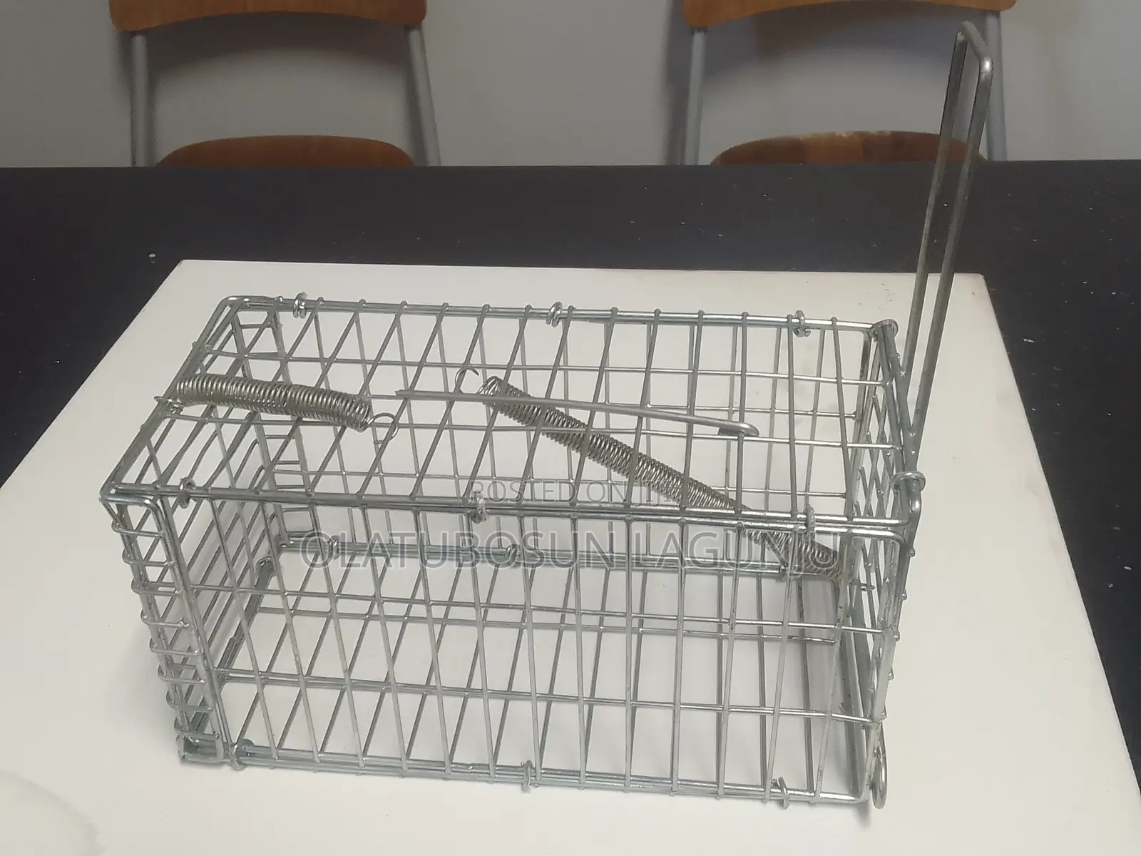 Mouse and Rat Traps