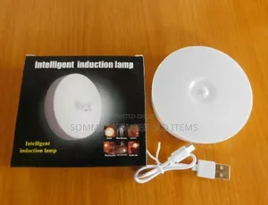 Body Induction Sensor Light
