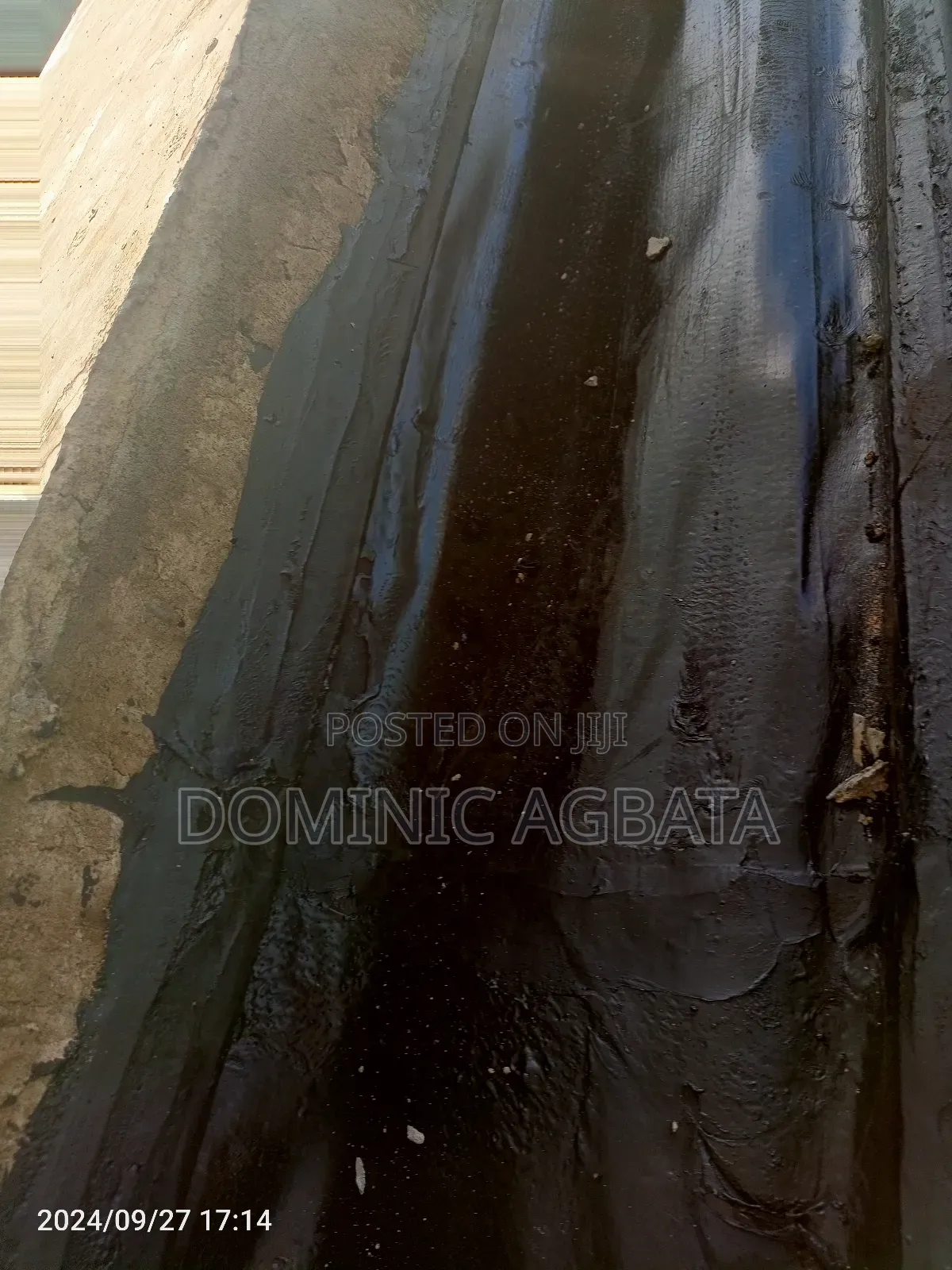 Pedantic Waterproofing Expertise