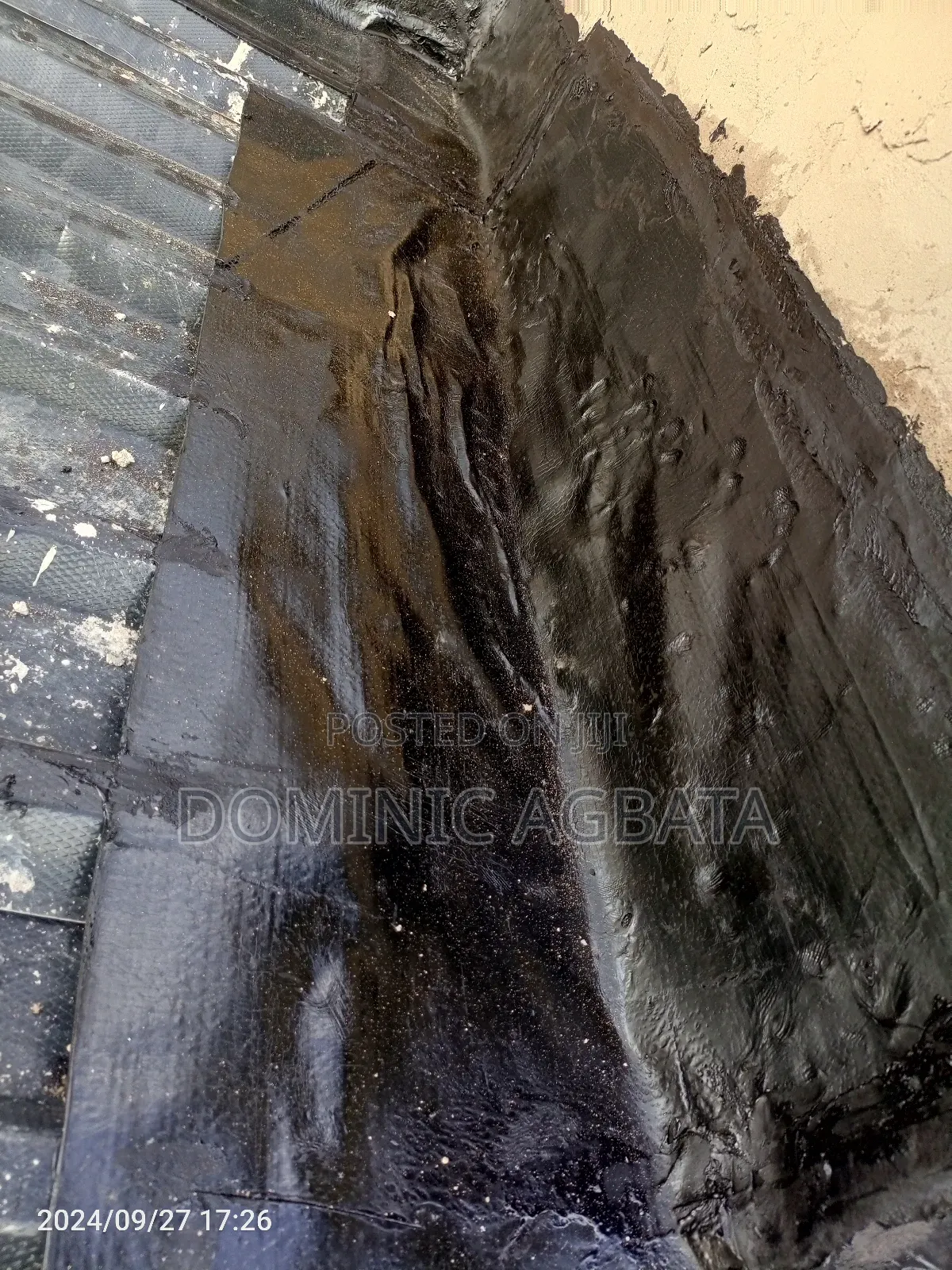 Pedantic Waterproofing Expertise