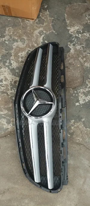 2013 Model Mercedes Benz E350 Front Grille.
