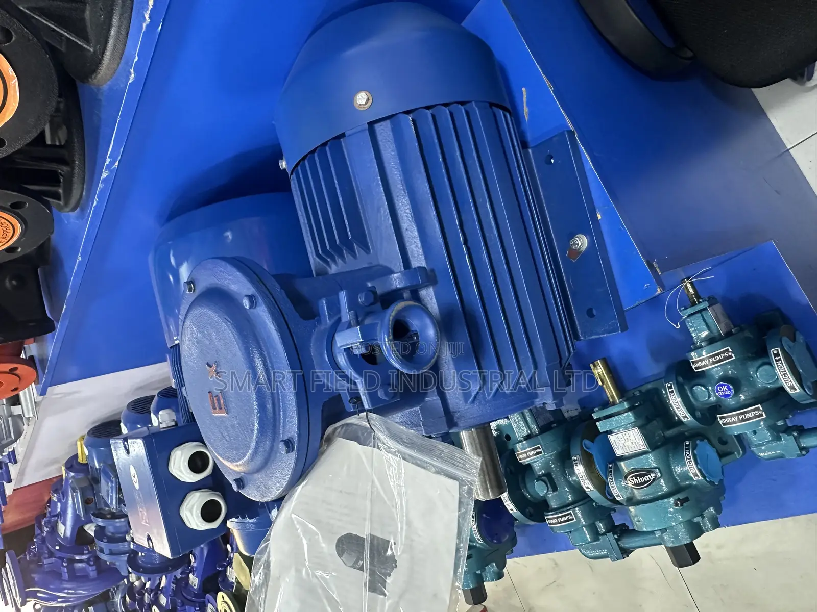 Flame Proof Electric Motor