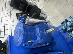 Flame Proof Electric Motor