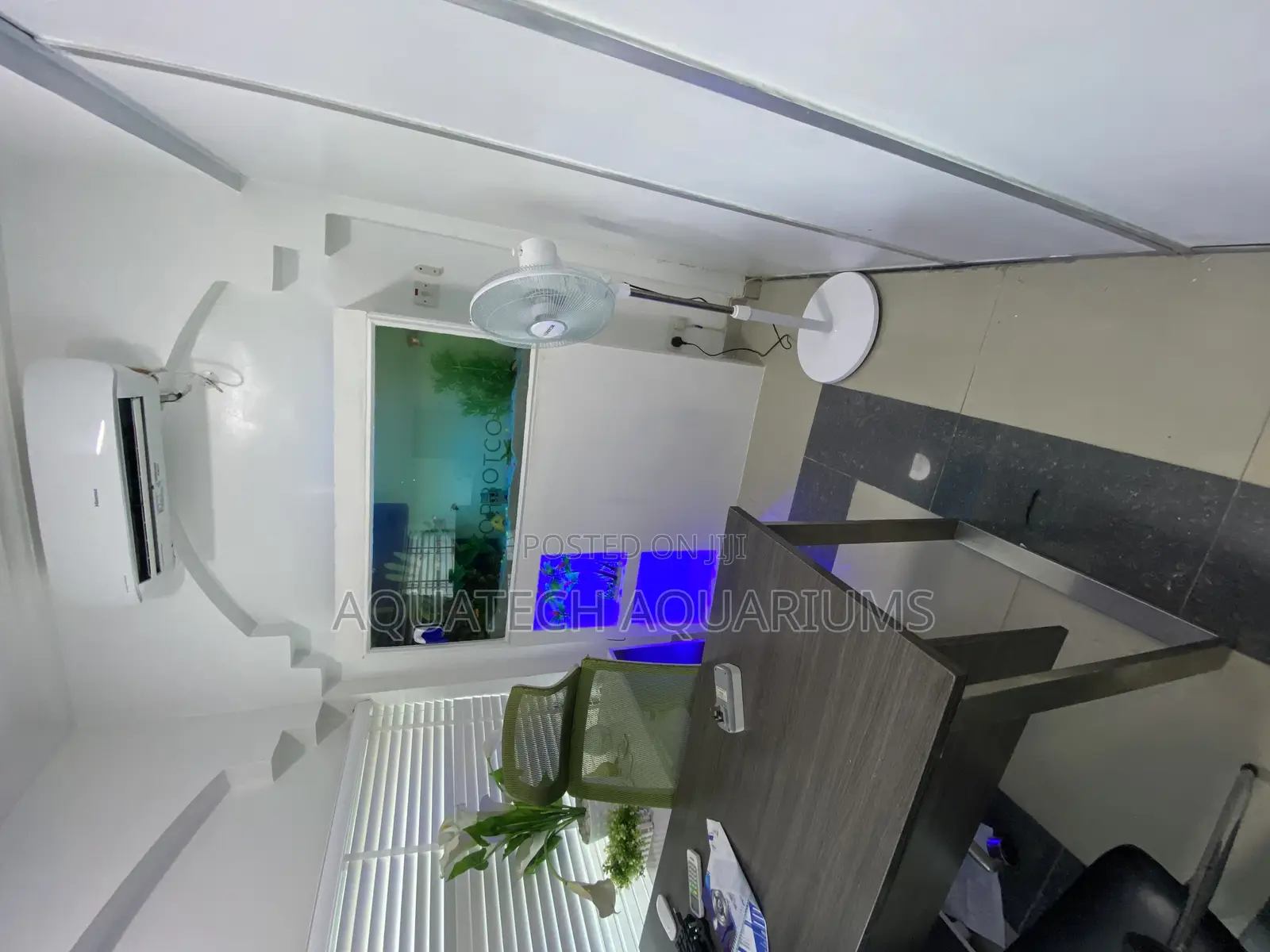 Customized Aquarium Tank