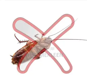 Fumigation Services Eliminates Cockroaches,Flies,Mosquitoes