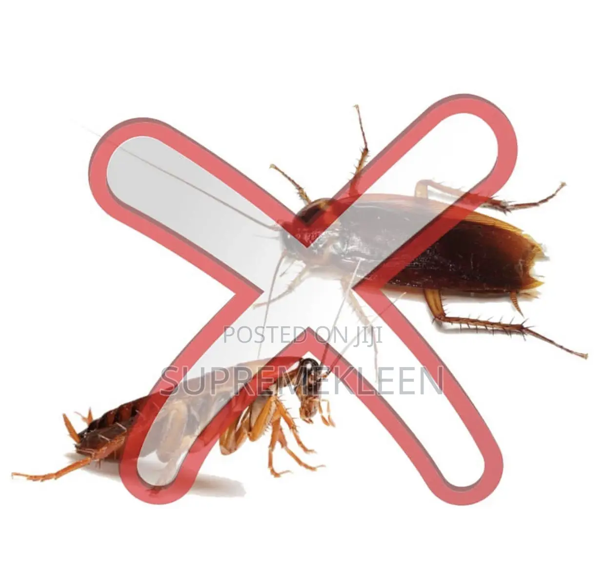 Fumigation Services Eliminates Cockroaches,Flies,Mosquitoes