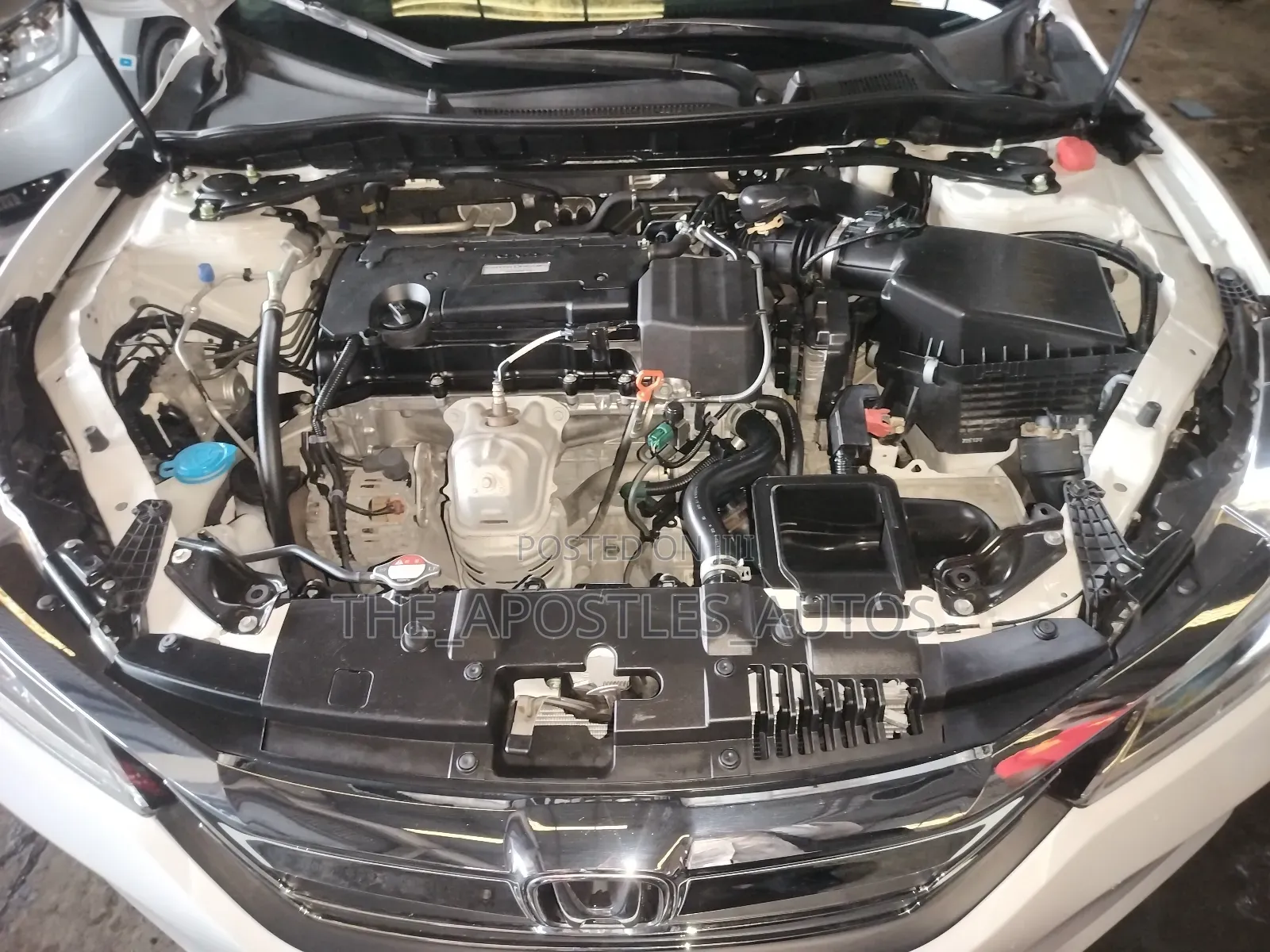 Honda Accord 2017 White