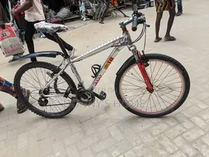Adult Bicycles