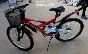 Adult Bicycles