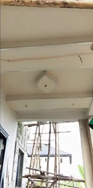 Pop Plaster Board Ceiling