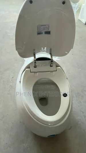 Smart Luxury Sensor Water Closet