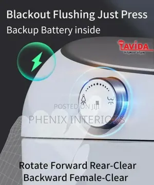 Smart Luxury Sensor Water Closet