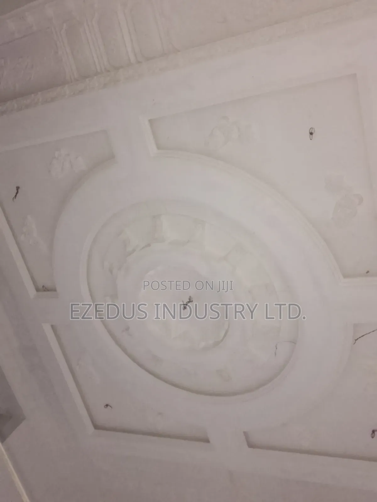 Ezedus Industry Ltd.
