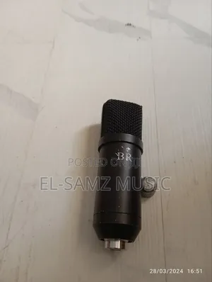 Amztronics and Br Condenser Studio Mics