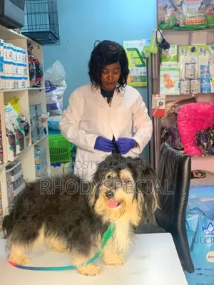 Certified and Highly Experienced Veterinarian