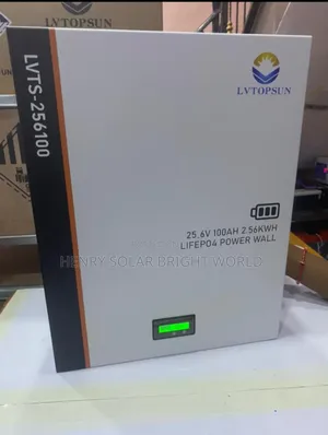 2.56kwh 25.6v 100ah Lvtopsun Lithium Battery