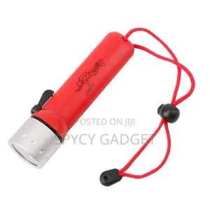 Super Bright Professional Diving Flashlight