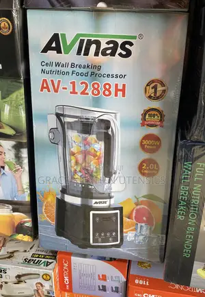 Avinas Electric Commercial Blender