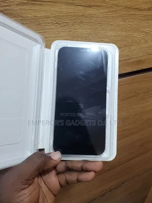 Apple iPhone 12 Pro Max Screen