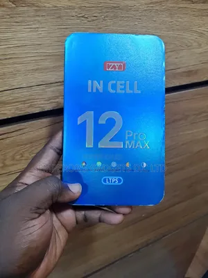 Apple iPhone 12 Pro Max Screen