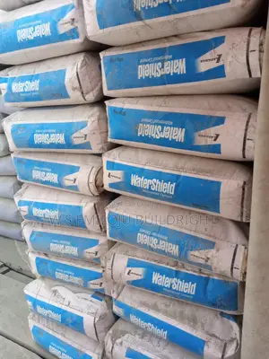 Water Shield High Quality Waterproof Cement.