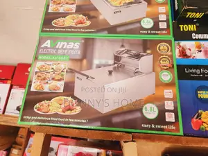 Avinas Electric Deep Fryer