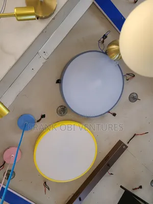 Luxury Ceiling Fittings