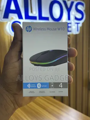 Wireless Mouse W10