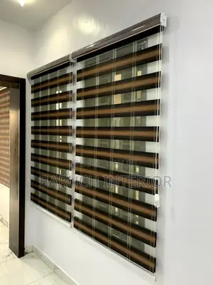 Modern Day Window Blind and Shades