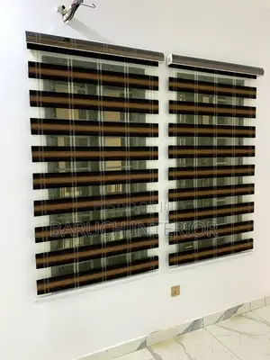 Modern Day Window Blind and Shades