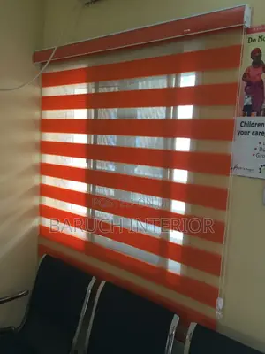 Window Blind Day and Night Shades