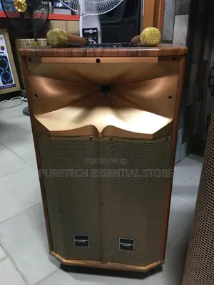 Modern Day Sound Public Addressable Speaker With 2 Mic