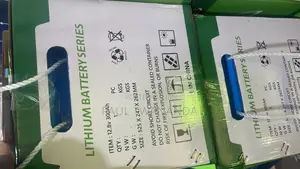 MNS 300A 12.8V Lithium Battery