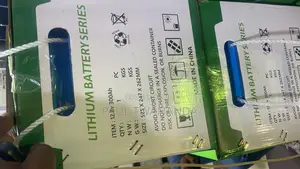 MNS 300A 12.8V Lithium Battery