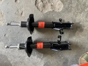 Front Shock Ford Edge 2008, 2009, 2010,