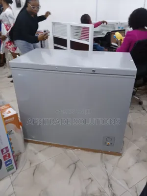 Hisense FRZ Fc340sh Silver-Color Deep Freezer- 250 Liters