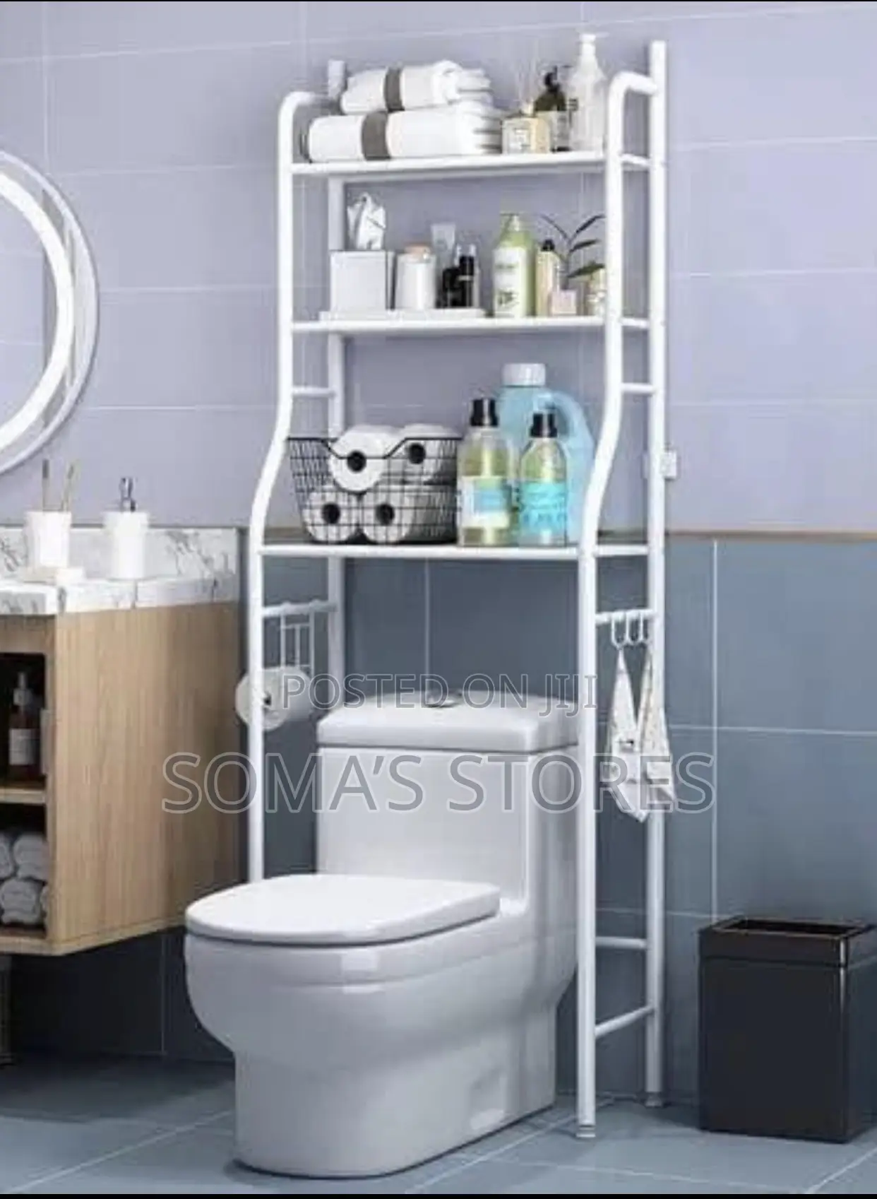 Toilet Shelf