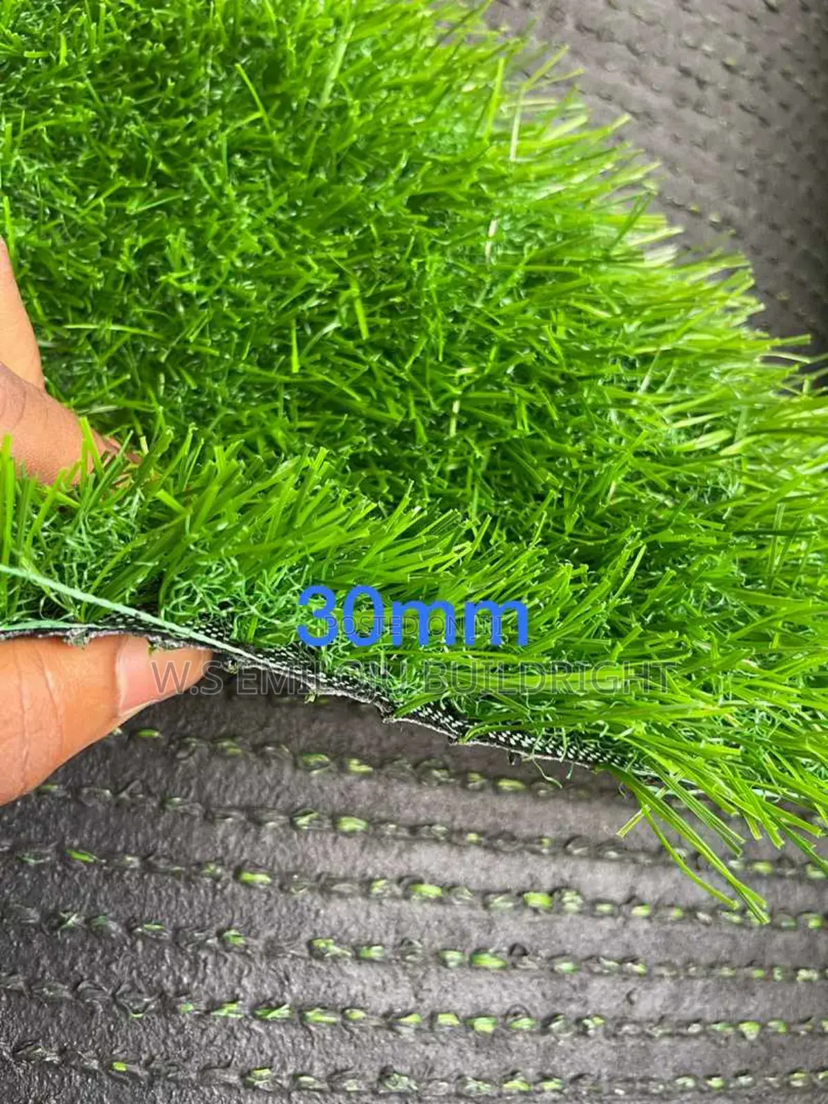 Grass Carpet