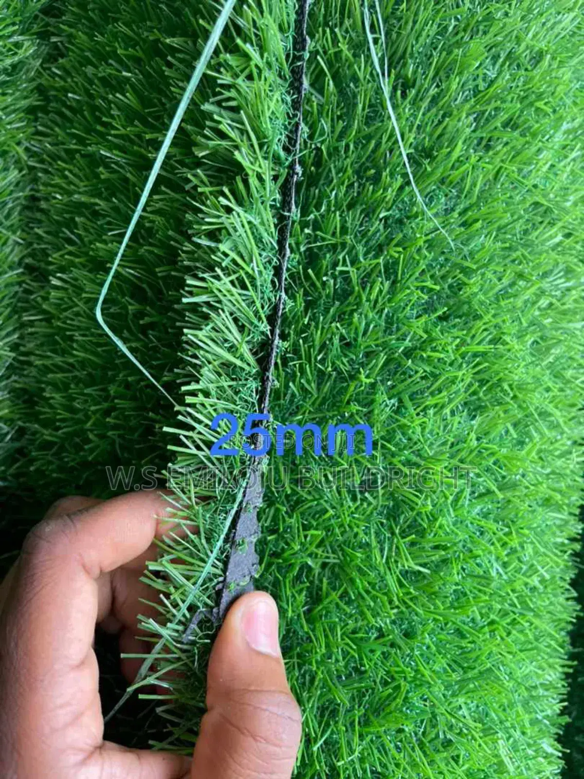 Grass Carpet