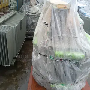 Astor 300kva/11 Transformer With High Power Capacity