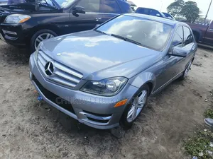 Mercedes-Benz C300 2014 Gray